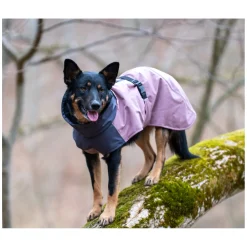 pawberry Hunde-Wintermantel Tallinn