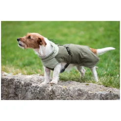 pawberry Hunde-Wintermantel Random