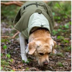 pawberry Hunde-Wintermantel Random