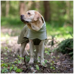 pawberry Hunde-Wintermantel Random