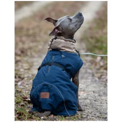 pawberry Hunde-Wintermantel Random