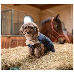 pawberry Hunde-Wintermantel Random