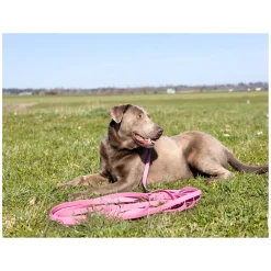 pawberry Schleppleine Doncaster