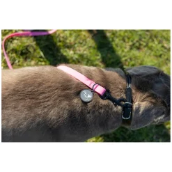 pawberry Schleppleine Doncaster
