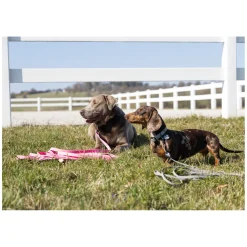 pawberry Schleppleine Doncaster