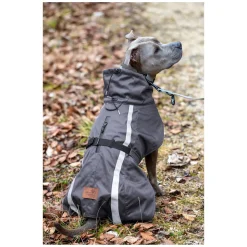 pawberry Softshell-Hundemantel Reus