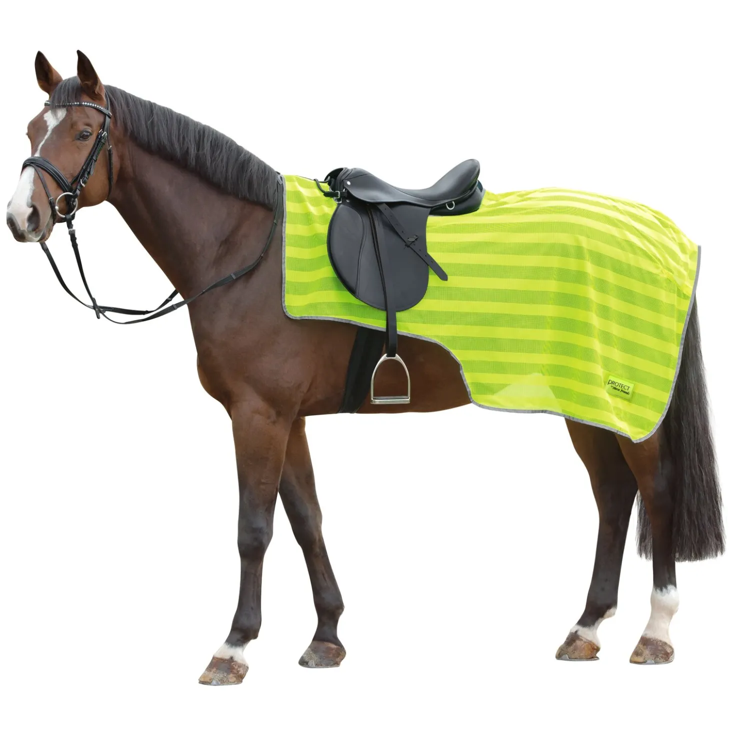 PROTECT by Horse-Friends Ausreitdecke