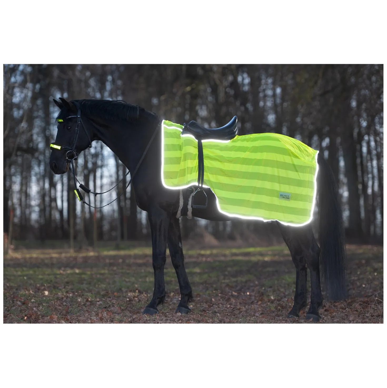 PROTECT by Horse-Friends Ausreitdecke