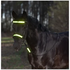 PROTECT by Horse-friends Reflex-Trensen-Set