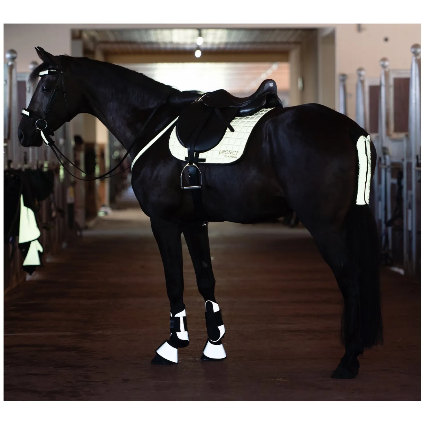 PROTECT by Horse-friends Schabracke