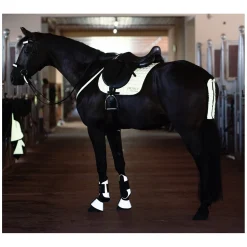 PROTECT by Horse-friends Schweifschoner