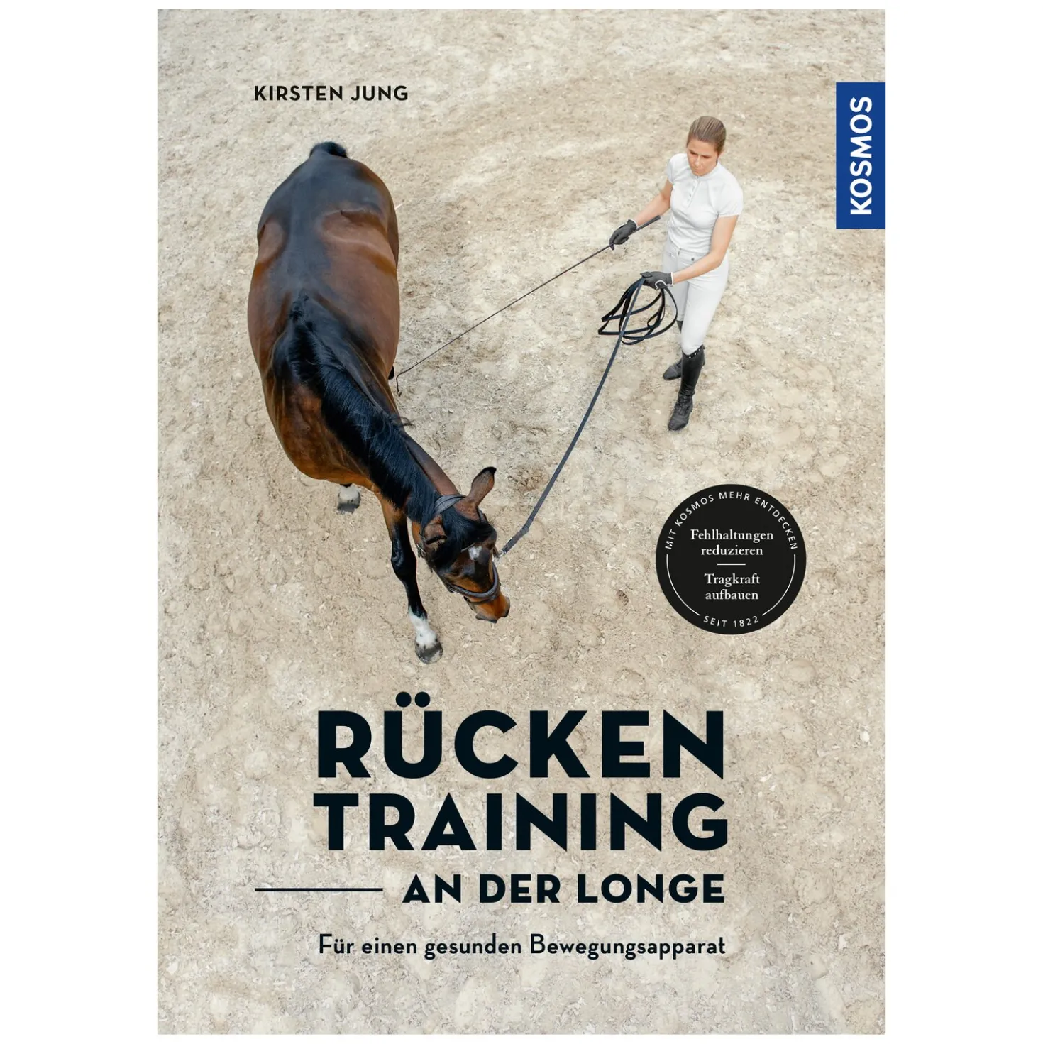 Rückentraining an der Longe
