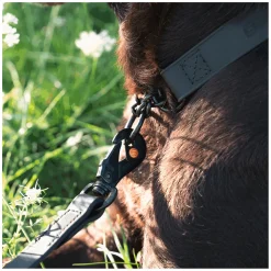 SPRENGER Biothane Leine mit Handschlaufe