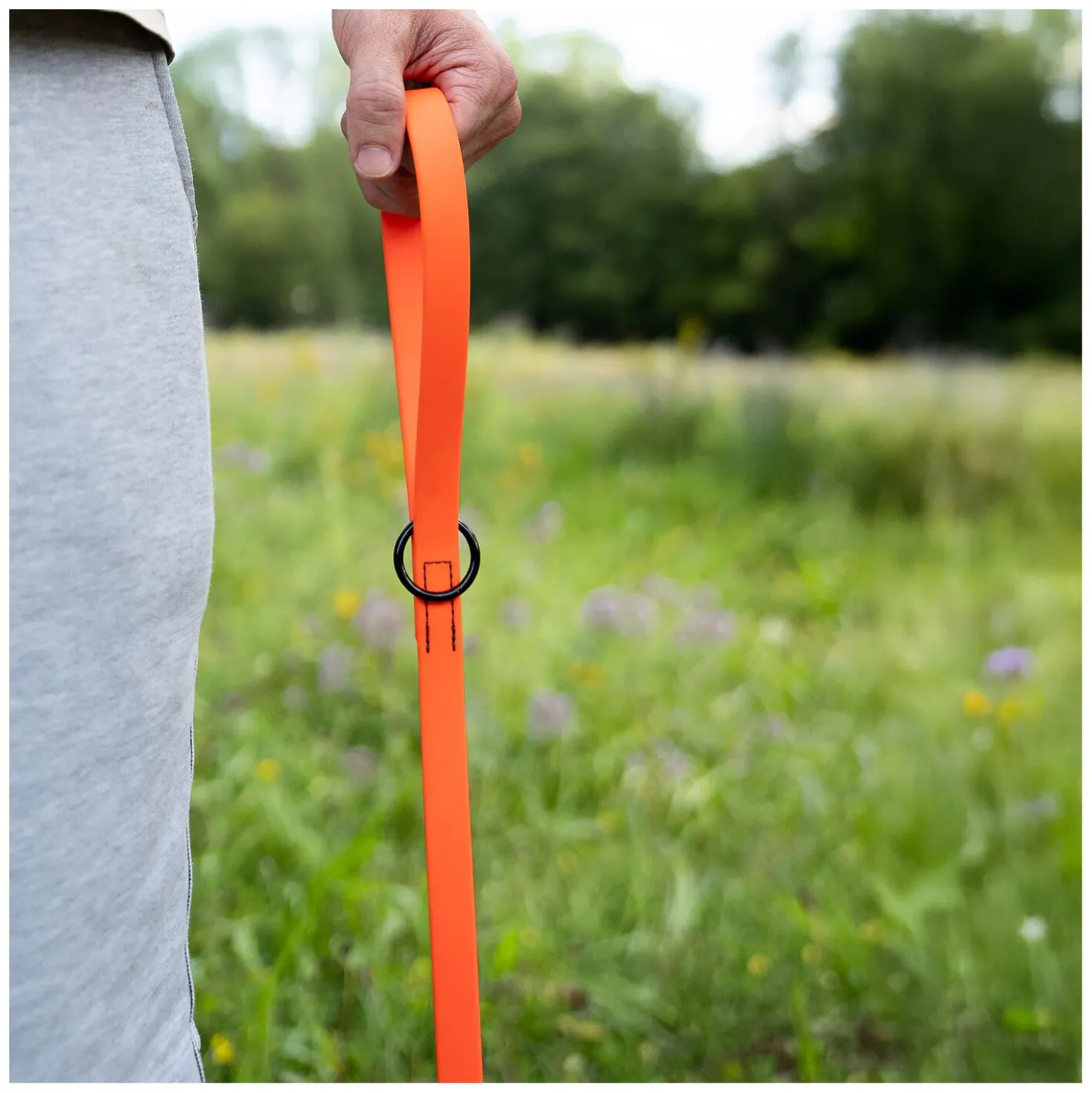 SPRENGER Biothane Leine mit Handschlaufe