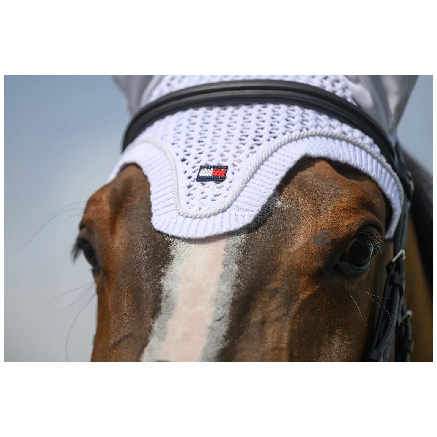 TOMMY HILFIGER EQUESTRIAN Fliegenhaube Liberty