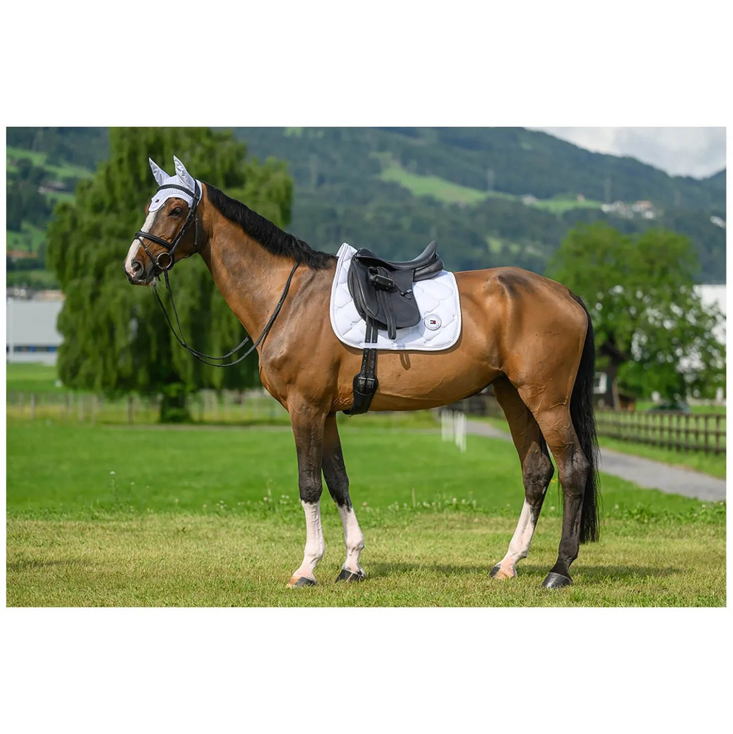 TOMMY HILFIGER EQUESTRIAN Fliegenhaube Liberty