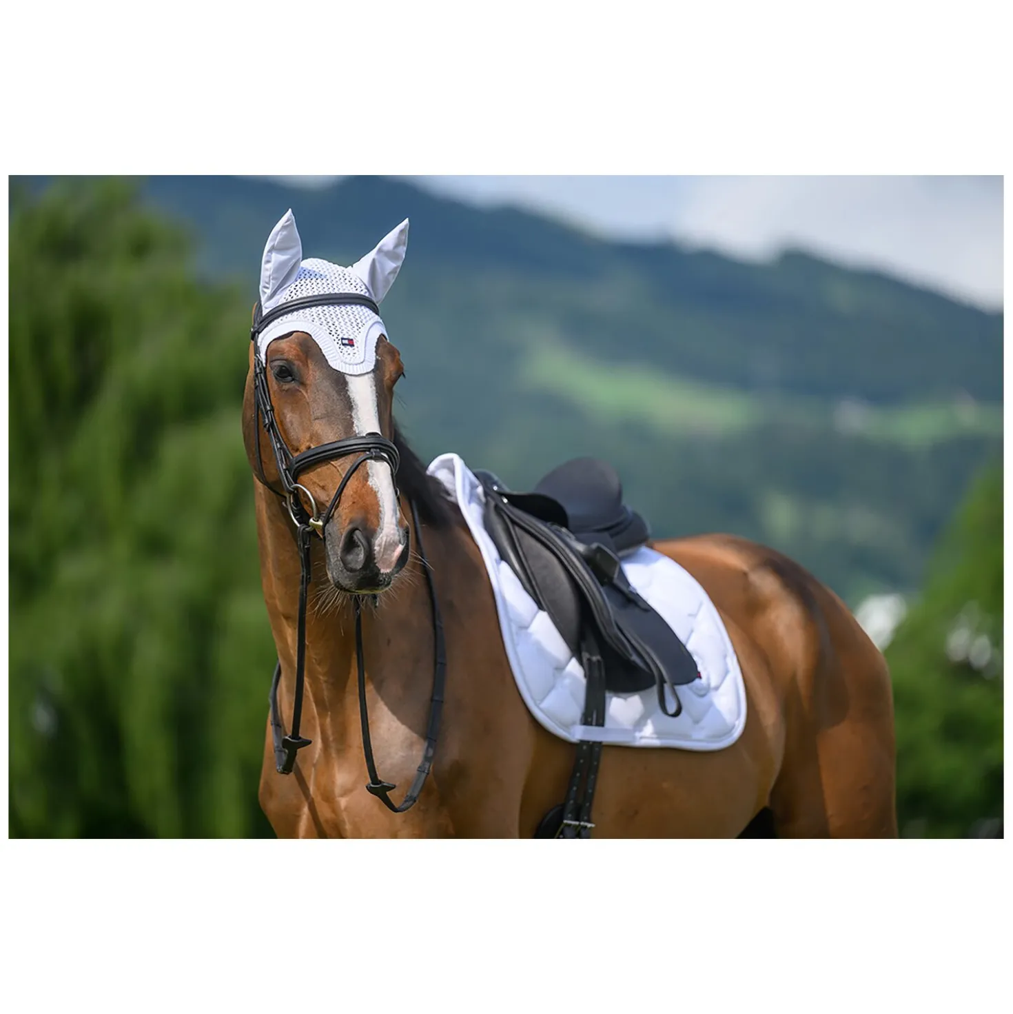 TOMMY HILFIGER EQUESTRIAN Fliegenhaube Liberty