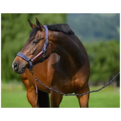 TOMMY HILFIGER EQUESTRIAN Halfter mit Führstrick Lexington