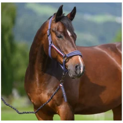 TOMMY HILFIGER EQUESTRIAN Halfter mit Führstrick Lexington