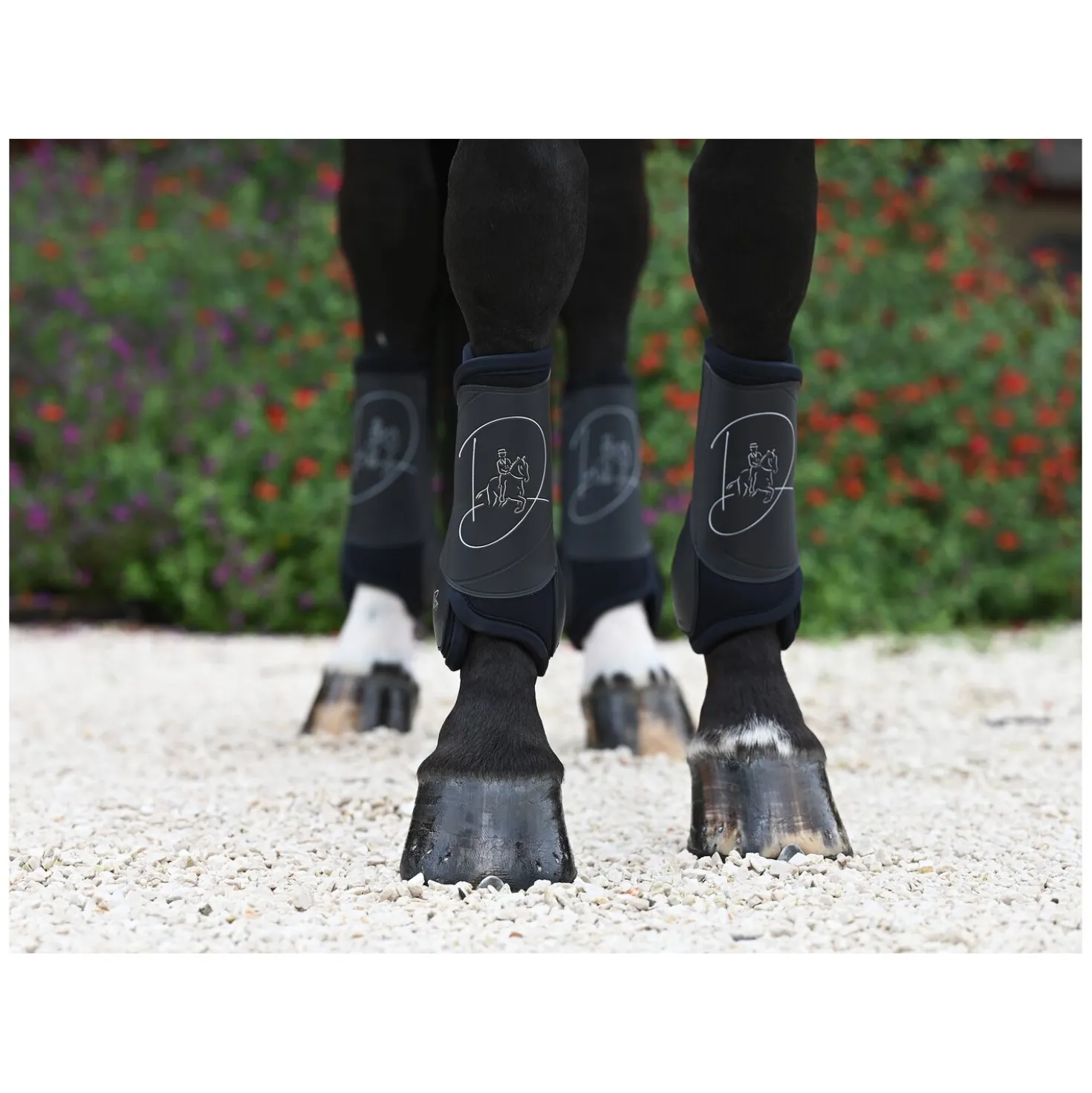 VEREDUS Dressurgamaschen Absolute Elastic, für die Vorderbeine