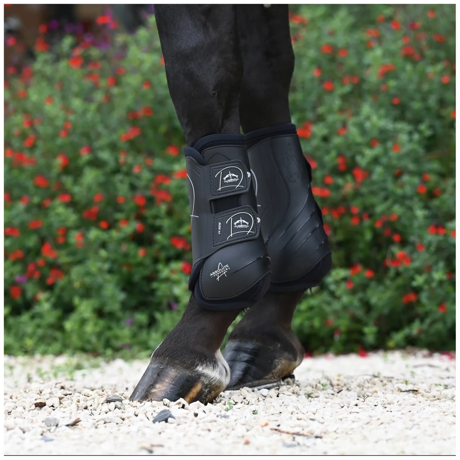 VEREDUS Dressurgamaschen Absolute Elastic, für die Vorderbeine