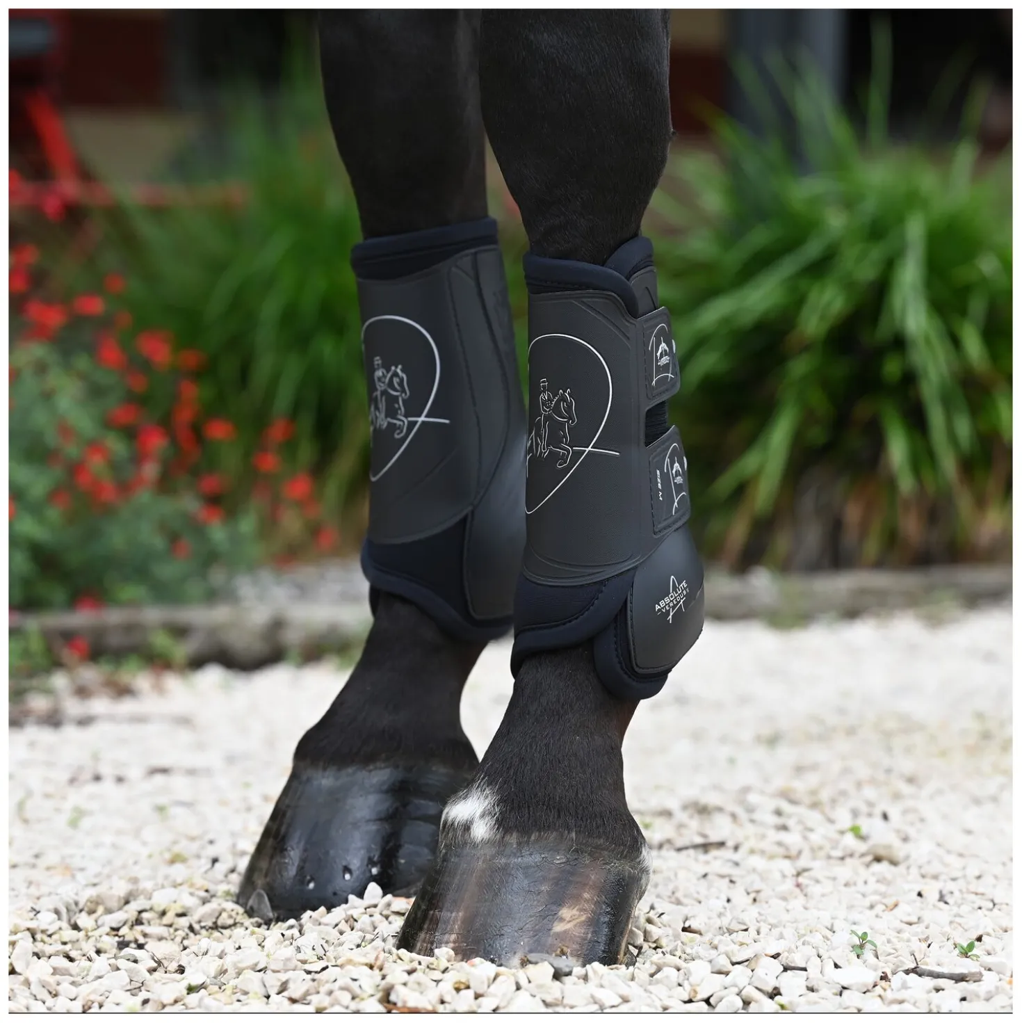 VEREDUS Dressurgamaschen Absolute Elastic, für die Vorderbeine