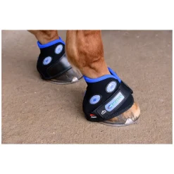 VEREDUS Hufglocken Magnetik