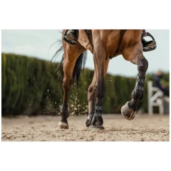 VEREDUS Springgamaschen Carbon Gel Vento, für die Vorderbeine