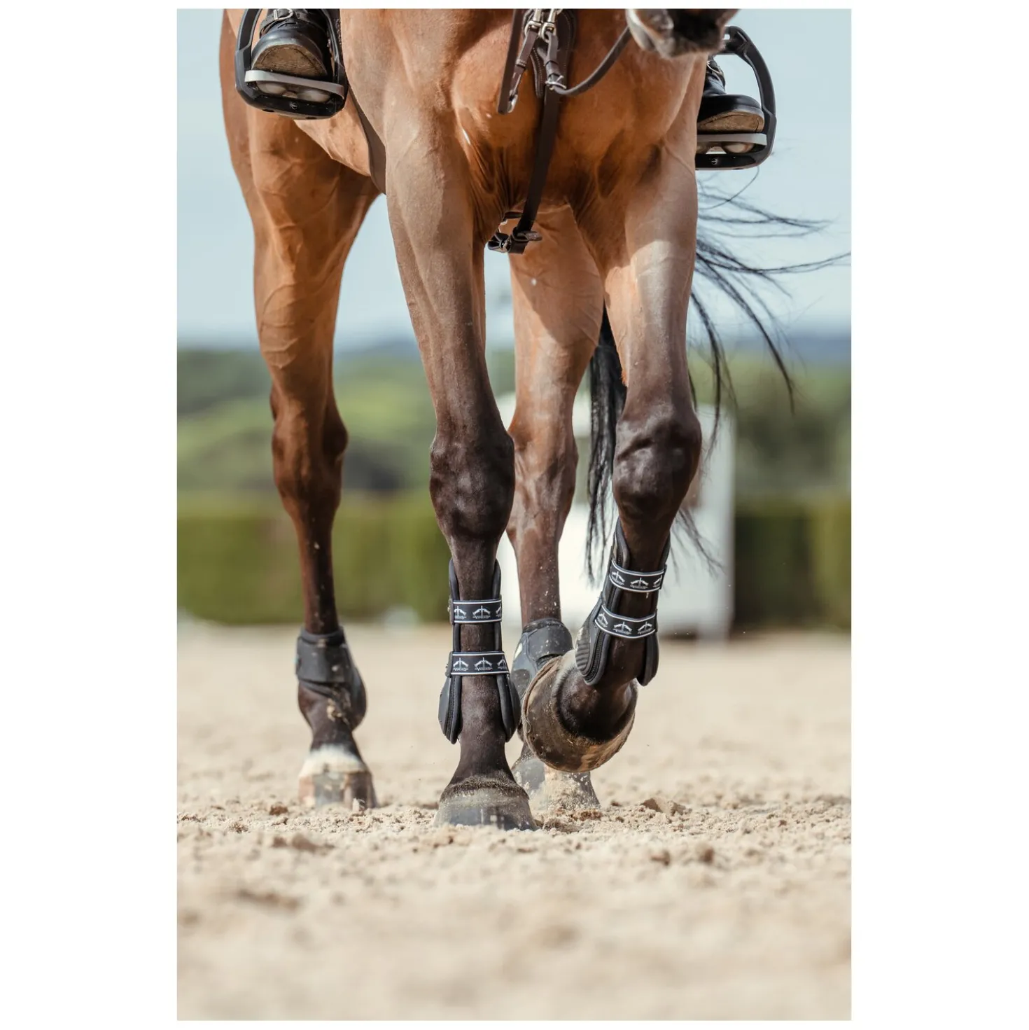 VEREDUS Springgamaschen Carbon Gel Vento, für die Vorderbeine