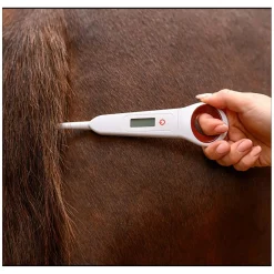WALDHAUSEN Digital-Fieberthermometer für Pferde
